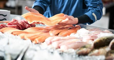 Niedoceniane ryby. Są tańsze i zdrowsze od łososia, a mało kto zwraca na nie uwagę