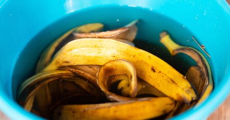 Niesłychane do czego może służyć banan. Mało kto o tym wie