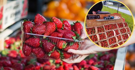 Pojawiły się pierwsze polskie truskawki. "Na razie to przysmak dla bogatych"