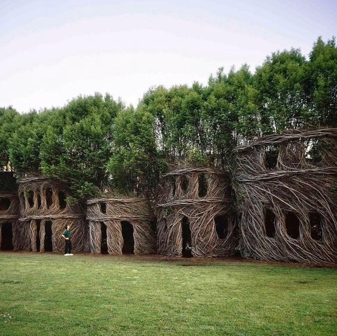 patrick dougherty / instagram