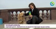 Skradł show, bo ukradł mikrofon. Atak psa na reporterkę rosyjskiej telewizji.