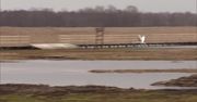 Susza w Polsce: Narew – Polska Amazonka na skraju zagłady.