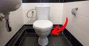 Oto dlaczego miski WC robi się z białej ceramiki. Mało kto o tym wie