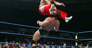 THQ: Sprzedaż UFC Undisputed 2010 rozczarowała, czas na wrestlingową ofensywę