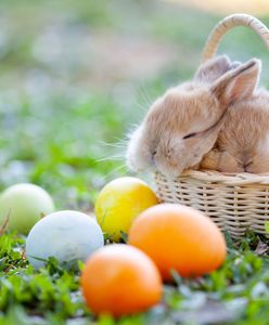 Wielkanoc 2019 – zabawne wierszyki na Wielkanoc. Tradycyjne życzenia z okazji Świąt Wielkanocnych