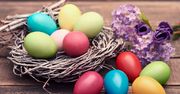 Wielkanoc 2019: zabawne, rymowane życzenia i wierszyki z okazji Świąt Wielkanocnych