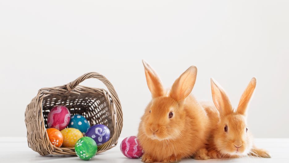 Prognoza Pogody na Wielkanoc. Ciepło i słonecznie w całej Polsce.
