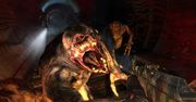Pierwsze informacje o Ranger Pack do Metro 2033