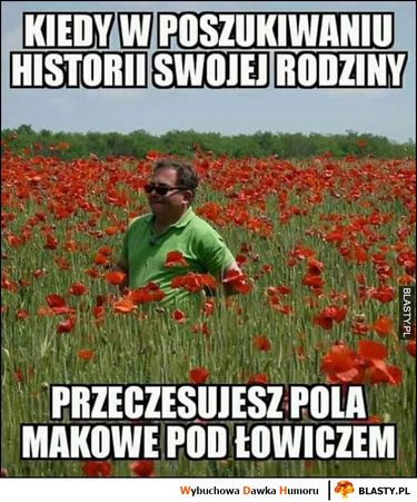Robert Makłowicz - memy