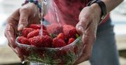 Aby warzywa i owoce były zdrowe, muszą być czyste. Opłukanie ich samą wodą to za mało