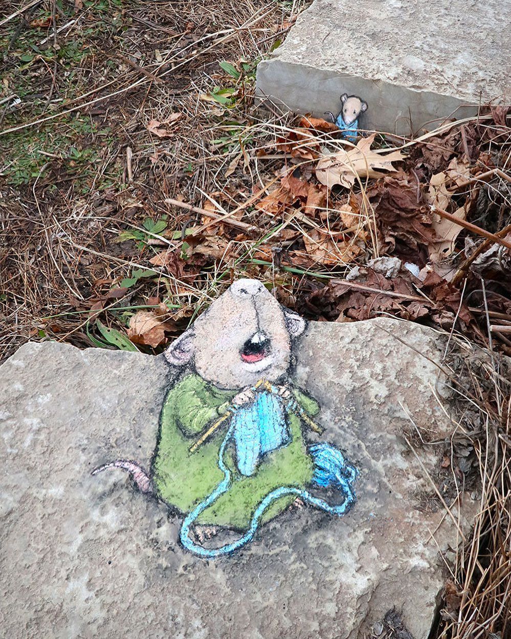 davidzinn/instagram