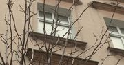 8-latek dźgnięty nożem przez swoją matkę. Kobieta także trafiła do szpitala