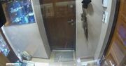 Napadli na jubilera. Dwóch było w kominiarkach, jeden w masce. Policja publikuje film