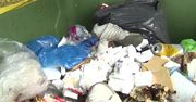 Sterty śmieci na ulicach Goleniowa. Nikt nie wywozi odpadów przez spór burmistrza z radnymi.