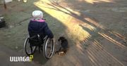 8-letnia Maja potrzebuje Waszego wsparcia. “Rehabilitacja przynosi efekty, ale jest kosztowna”