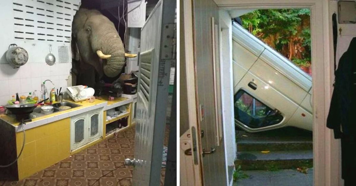 17 People Who Were Extremely Unlucky. It's Hard to Believe That These Are Real Pictures