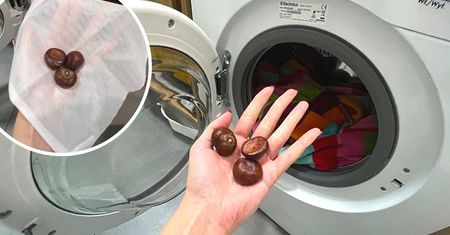 Jesienią do pralki wrzucam 3 kasztany. Oszczędzają mi sporo czasu i pieniędzy
