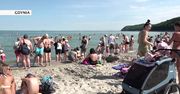 Sinice w Bałtyku. Czerwone flagi na kąpieliskach w Trójmieście