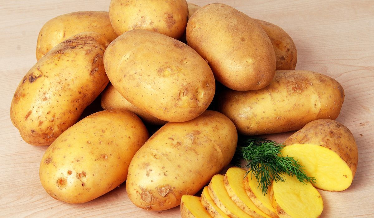 Na bazie ziemniaków wyczarujesz prawdziwą ucztę dla podniebienia/źródło: polatdover, pixabay
