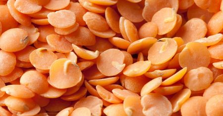 Osoby po 50. roku życia powinny jeść na kilogramy. Biblijne ziarno cofa zegar biologiczny