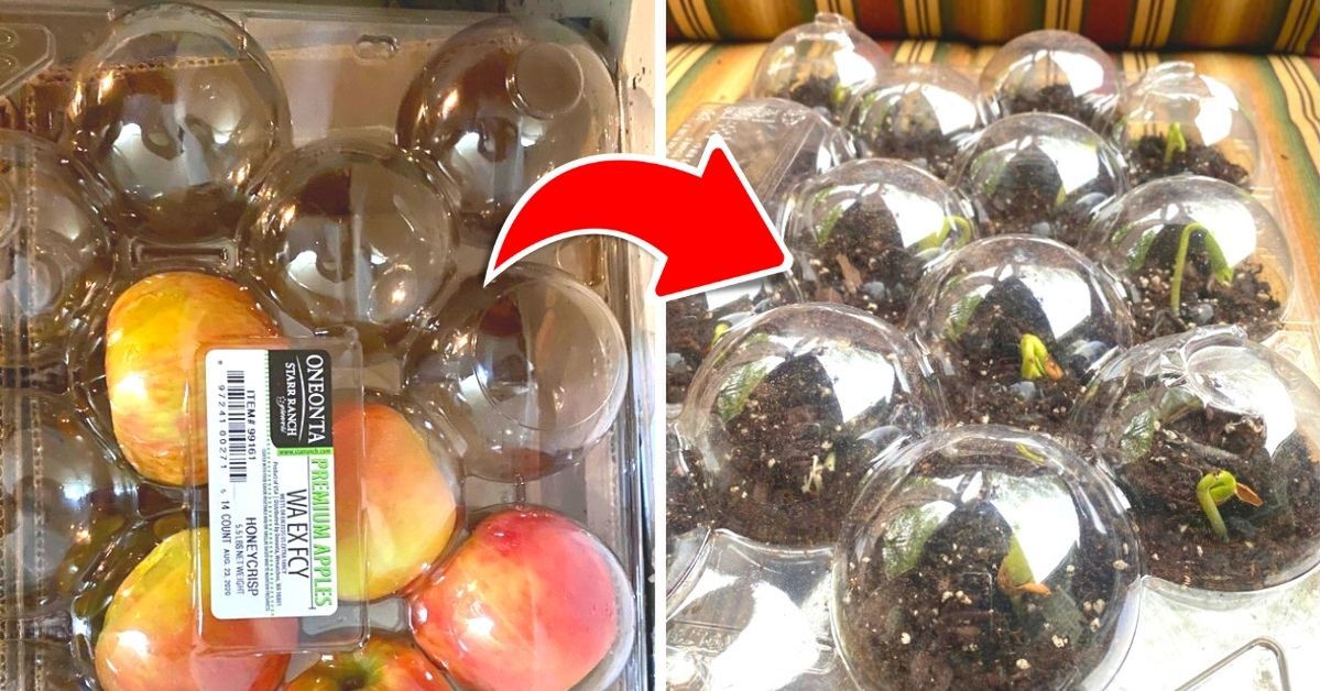 17 Garden Hacks Which Make Every Gardener's Job Easier