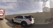 Policjanci uratowali przestraszonego psa, który wbiegł na ruchliwą autostradę.