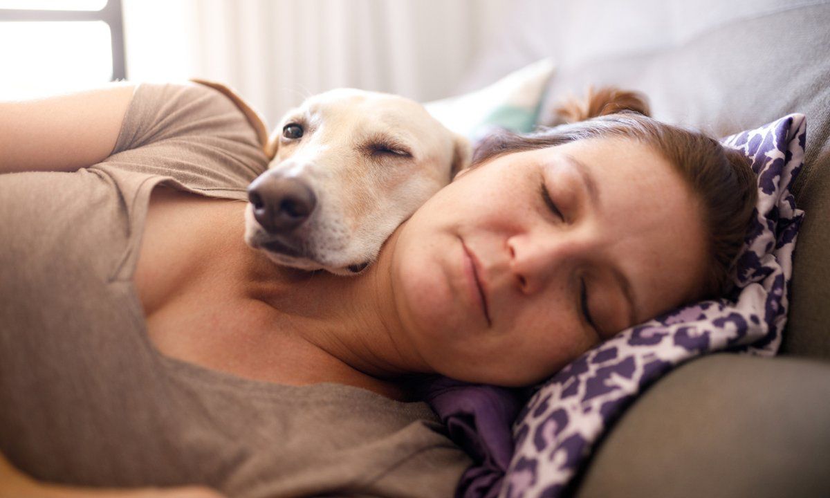 Pies śpi z tobą w łóżku? Lepiej przestań mu na to pozwalać
