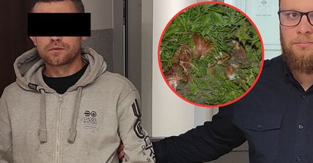 10 lat więzienia za rosół. Mężczyzna odpowie przed sądem