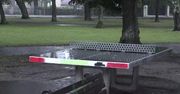 Grupa osób porażona piorunem w Węglińcu.
