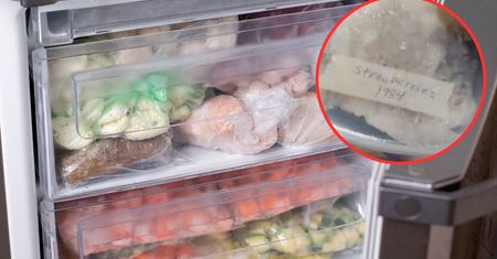 Wnuczka opróżniła zamrażarkę swojej babci. Znalazła tam żywność z 1972 roku
