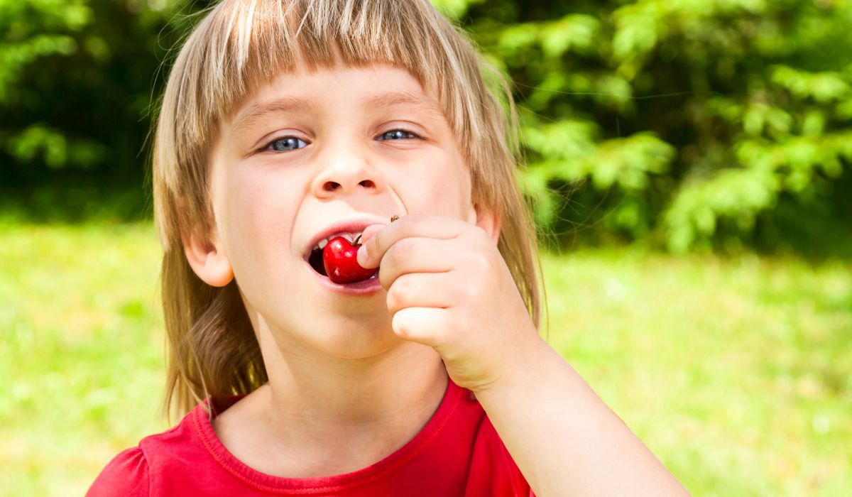 Pestki czereśni mogą zaszkodzić zwłaszcza dzieciom - Pyszności; foto: Canva