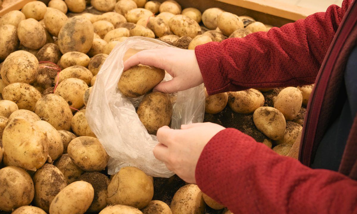 W ten sposób odróżnisz młode ziemniaki od wczesnych. Ważne są szczegóły