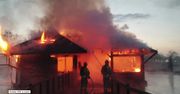 Pożar w zoo w Borysewie. Zginęło 20 papug i osiem małp