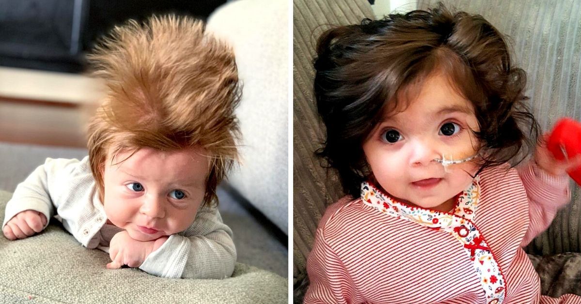 25 Adorable Toddlers Whit More Hair Than Most Adults. They Get Everyone's Attention!