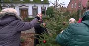 Niezwykła choinka na Pomorzu Zachodnim. W bombkach znajdują się “listy do Mikołaja” potrzebujących