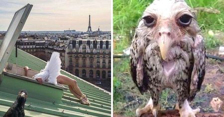 17 zdjęć ptaków tak złych, że aż są dobre na poprawę humoru
