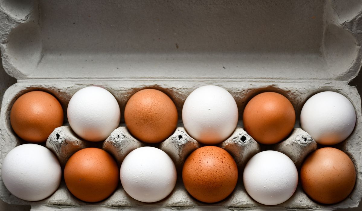 Wiesz co oznacza kolor skorupki jajka? Będziesz zaskoczony