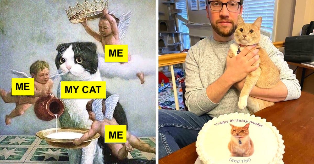 23 Extremely Spoiled Cats who Rule Over Their Owners and Live a Royal Life