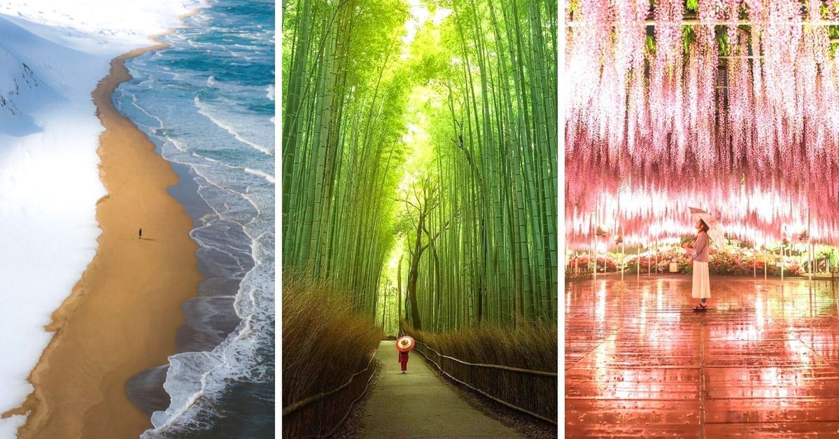 17 Proofs that Japanese Nature is Like a Gifted Artist Painting Mountains, Meadows, and Valleys