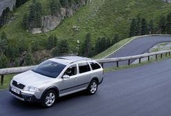 Scout na najdłuższej drodze świata