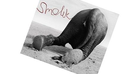 Kontynuacja, ale nie w linii prostej − Smolik, "3"