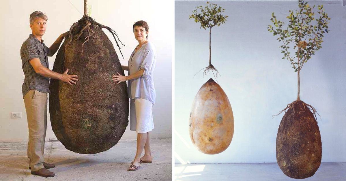 Capsula Mundi - an Ecological Approach To Burial. All of us Could Become a Tree