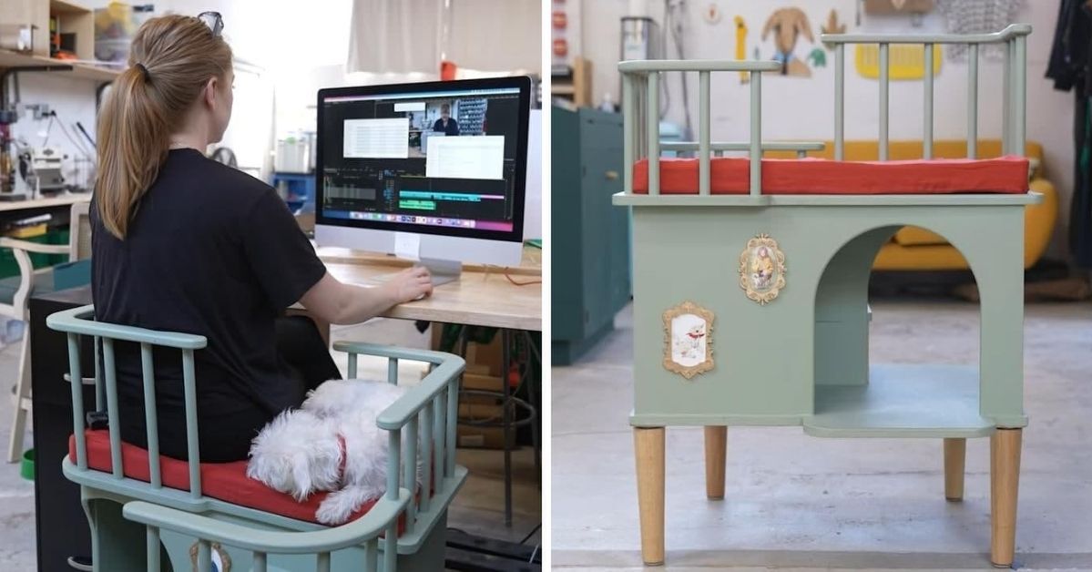 Perfect Chair for Pet Owners Who Have to Work Remotely