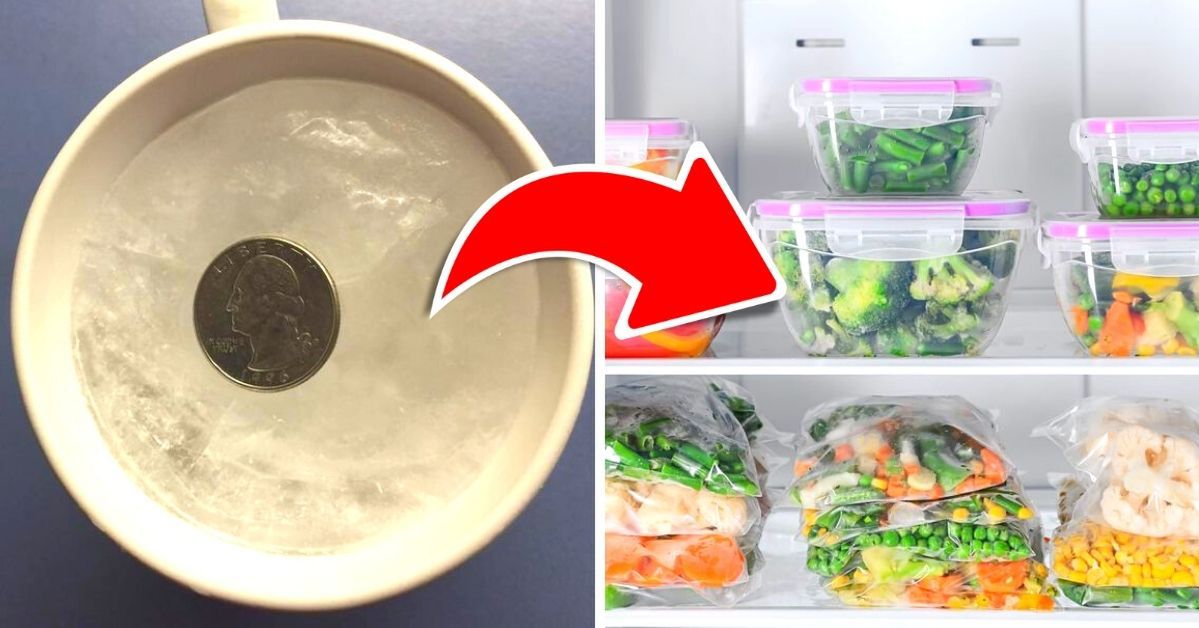 Be Sure to Put a Coin in the Freezer Before Going on Vacation. This Will Help You Avoid Food Poisoning