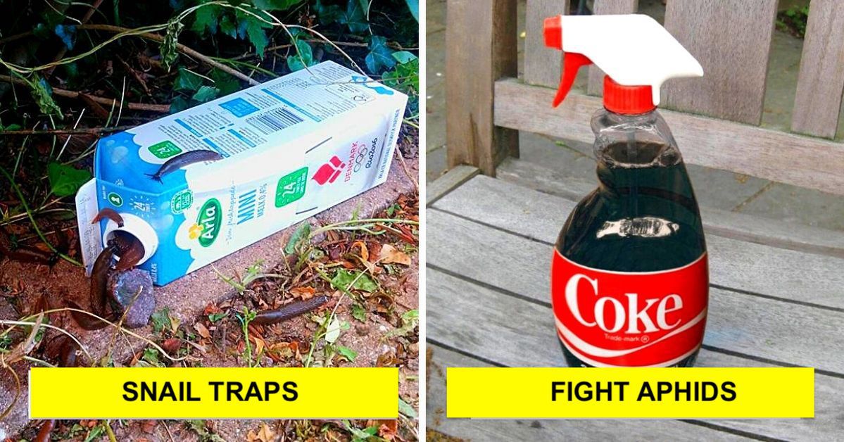 13 Garden Tricks That Will Make You a True Flowerbed Master