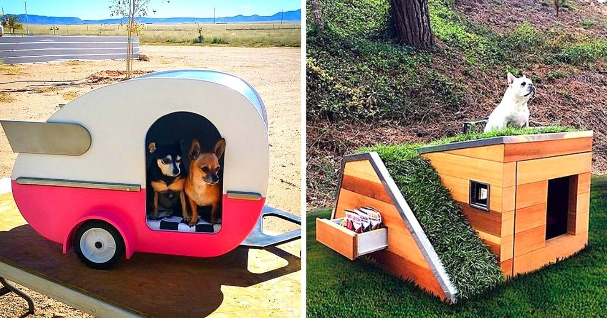 21 Dog Beds and Kennels Which Can Make Your Pet the King of that Yard