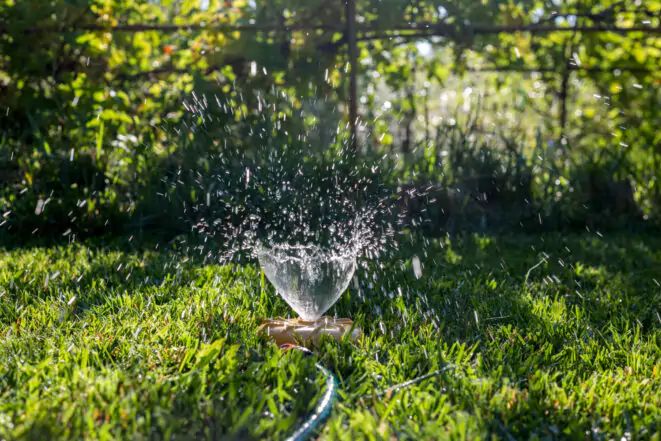 13 Ideas for Original Garden Swings that Will Make Anyone Feel Like a Kid Again