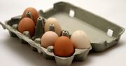 Ten szczegół zdradzi, czy jajko jest zdrowe. Prawie nikt nie zwraca na niego uwagi
