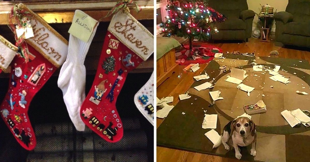 21 People Who Went Through Accidental Christmas Disasters but Were Able to Laugh Back at Their Failures