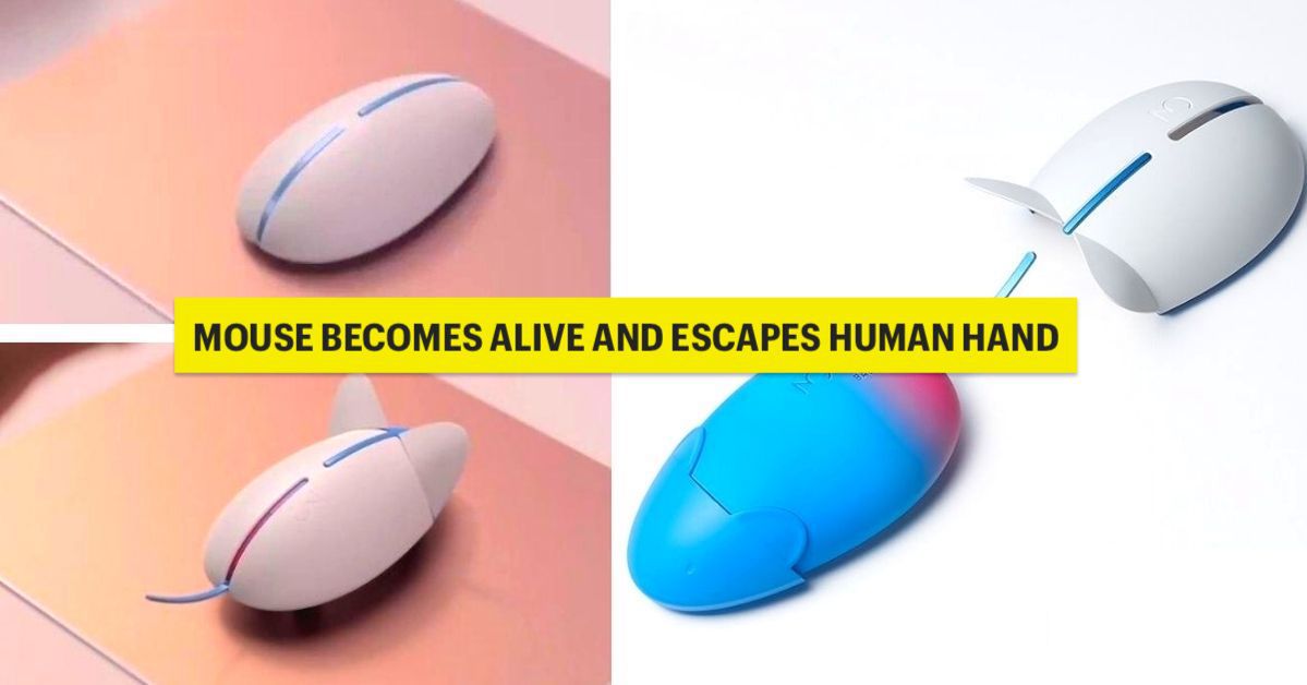 The Balance Mouse Is Made for Campaign Work &amp; Life Balance. When It’s Time To Finish Work the Mouse Becomes Real and Escape Humans Hand.